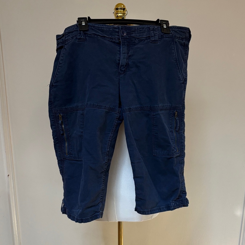 American Eagle Outfitters women shorts size 14